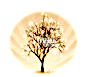 Arbre